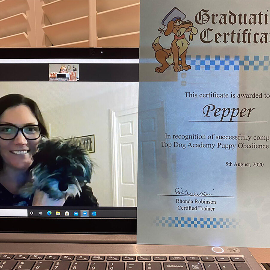 pepper's graduation photo copy Dog training, dog obedience, online dog training, puppy training